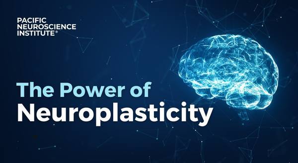 Neuroplasticity: How Experience Changes the Brain
