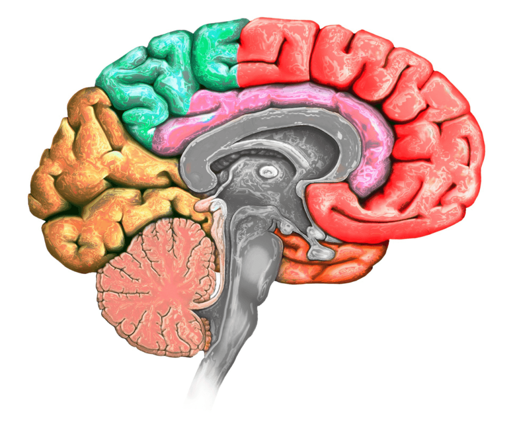 Acromegaly Awareness Day | Pacific Neuroscience Institute