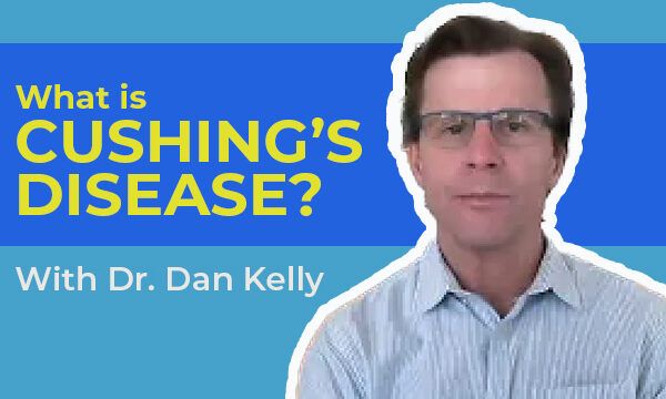 What is Cushing Disease?