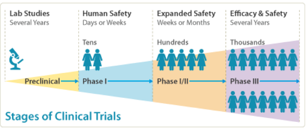 Как получить год хуман. Stages of Clinical Trials. Phase 2b Clinical Trials. Stages of Clinical study. Stage of study в медицине.