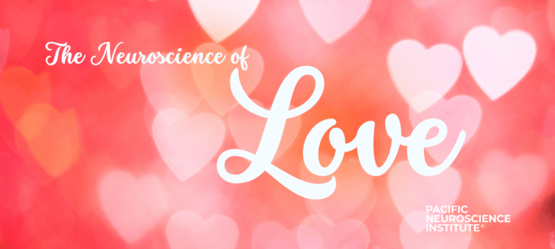 the neuroscience of love and connection